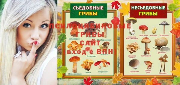 трава Инта