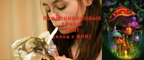 соль ск Иннополис