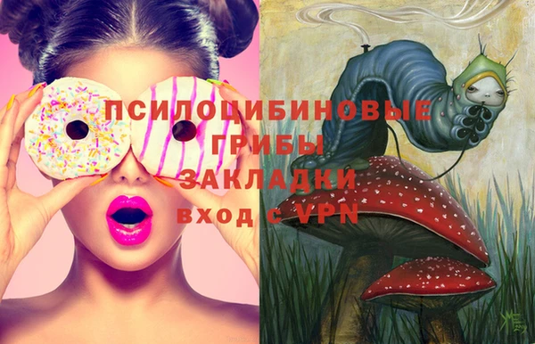 трава Инта