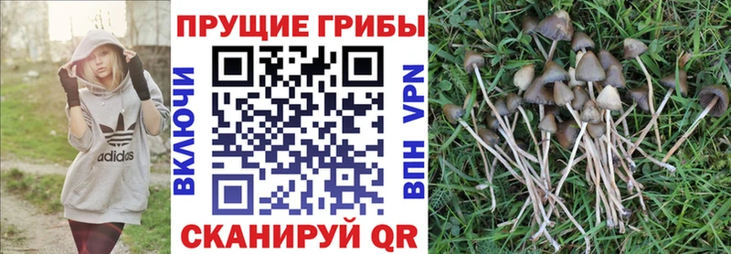 Купить закладки  Чебаркуль  Галлюциногенные грибы ЛСД 